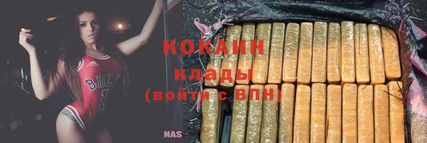 ГАЛЛЮЦИНОГЕННЫЕ ГРИБЫ Ростов