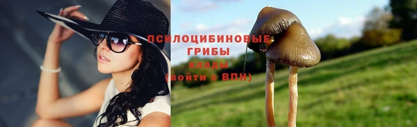 ГАЛЛЮЦИНОГЕННЫЕ ГРИБЫ Ростов
