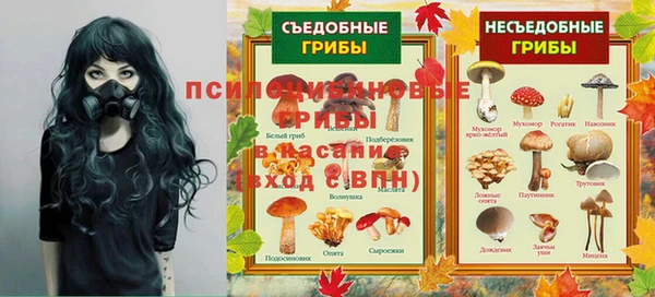 ГАЛЛЮЦИНОГЕННЫЕ ГРИБЫ Ростов