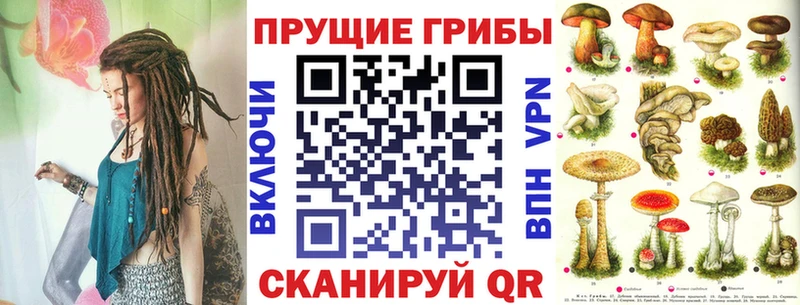 Псилоцибиновые грибы мухоморы  Севск 